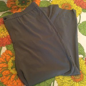 Banana Republic, Sage Green,  Large, Poly